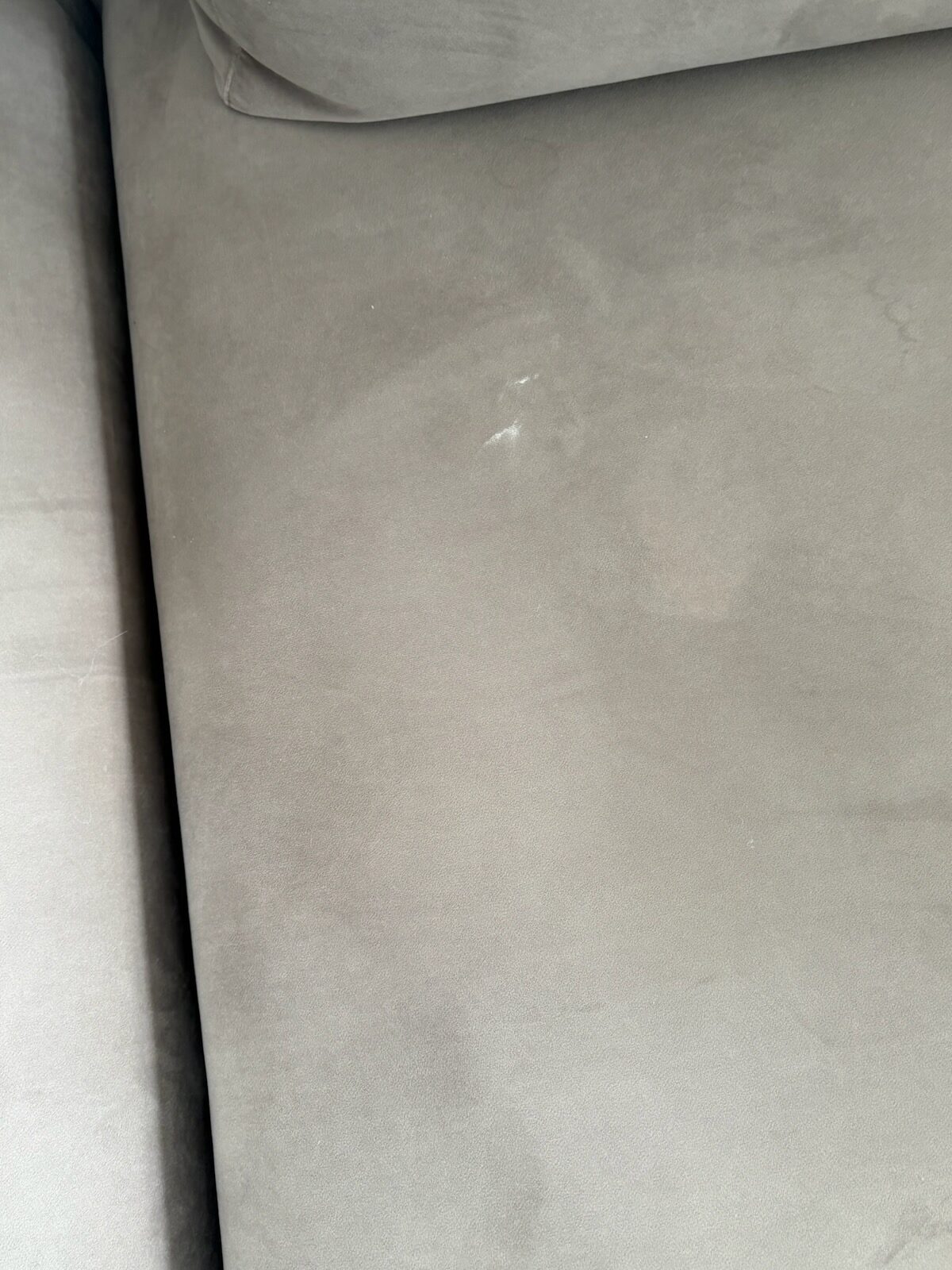 Pet stain & odor treated