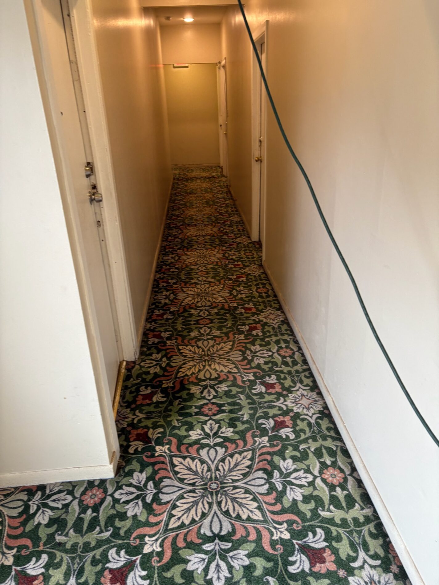 Hallway runner, freshened up